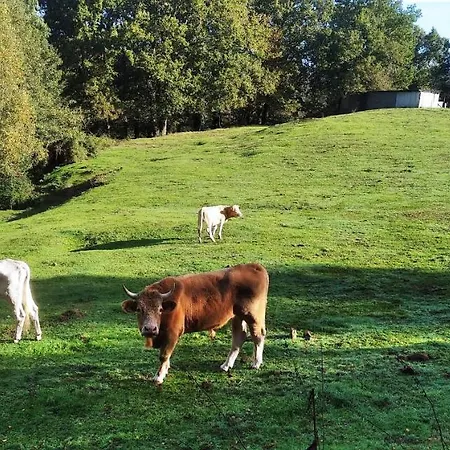 Casa Rural En Un Entorno Magico Séjour à la campagne