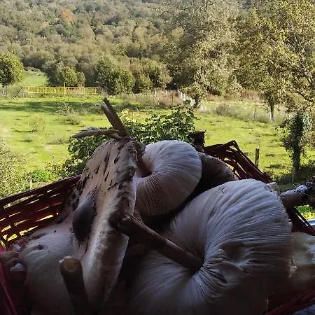 Casa Rural En Un Entorno Magico